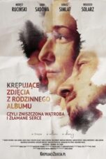 Krepujace zdjecia z rodzinnego albumu czyli zniszczona watroba i zlamane serce 2018 Subtitle Indonesia