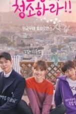 Clean With Passion For Now (2018)